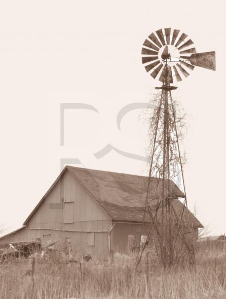Barn And Windmill