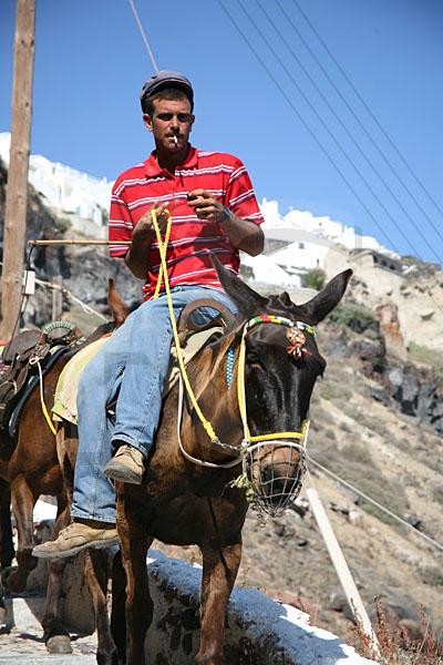 Oia Donkey Ride 1
