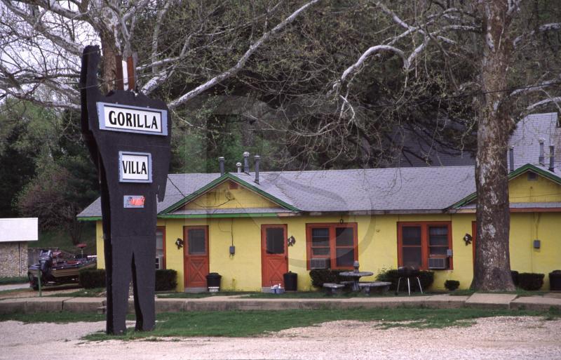 Gorilla Villa Motel 1