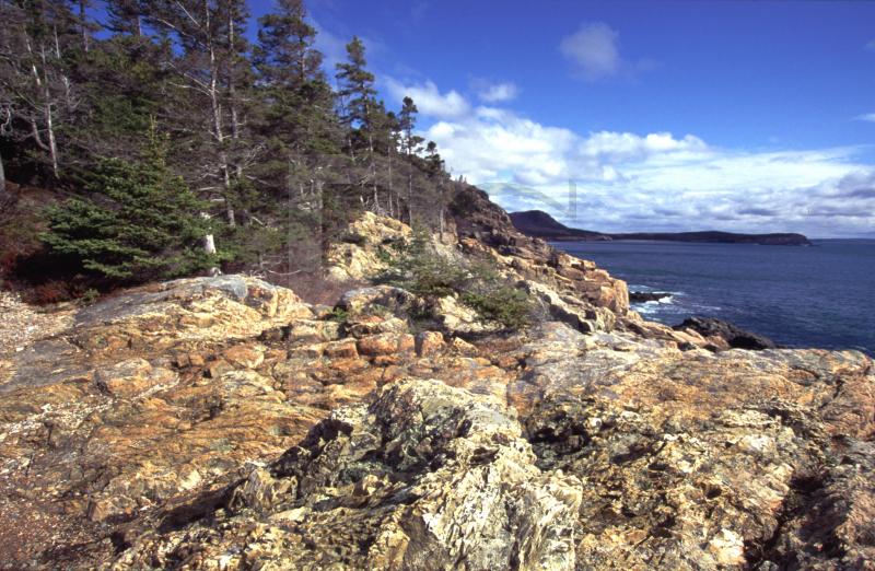 Acadia National Park, Coastline