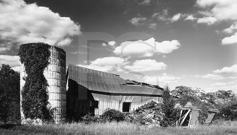 Collapsed Barn, Black & White
