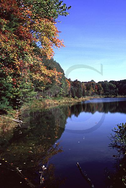 Autumn Reflection On Lake, Delaware Water Gap