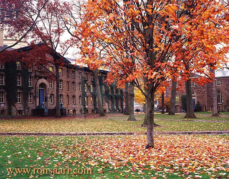 Nassau Hall In Autumn, Princeton University