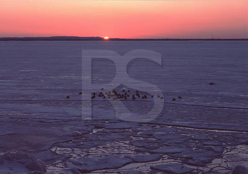 Sunset Over Sandy Hook Bay