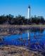 Cape May Lighthouse and Salt Marsh