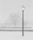 Lamp Post and Tree in Snowstorm
