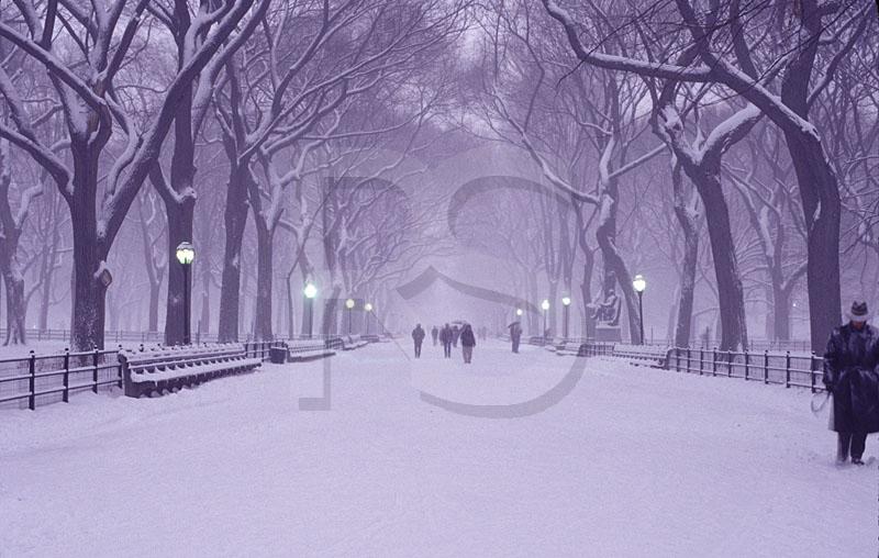 Central Park Mall In Snowstorm