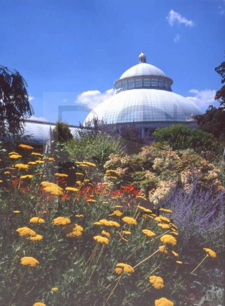 Bronx Botanic Garden
