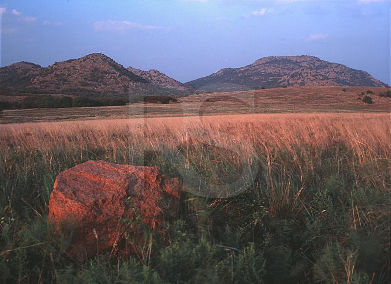 Wichita Mountains National Wildlife Refuge, Grass Prairie