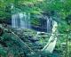 Mohawk Falls, Ricketts Glen State Park