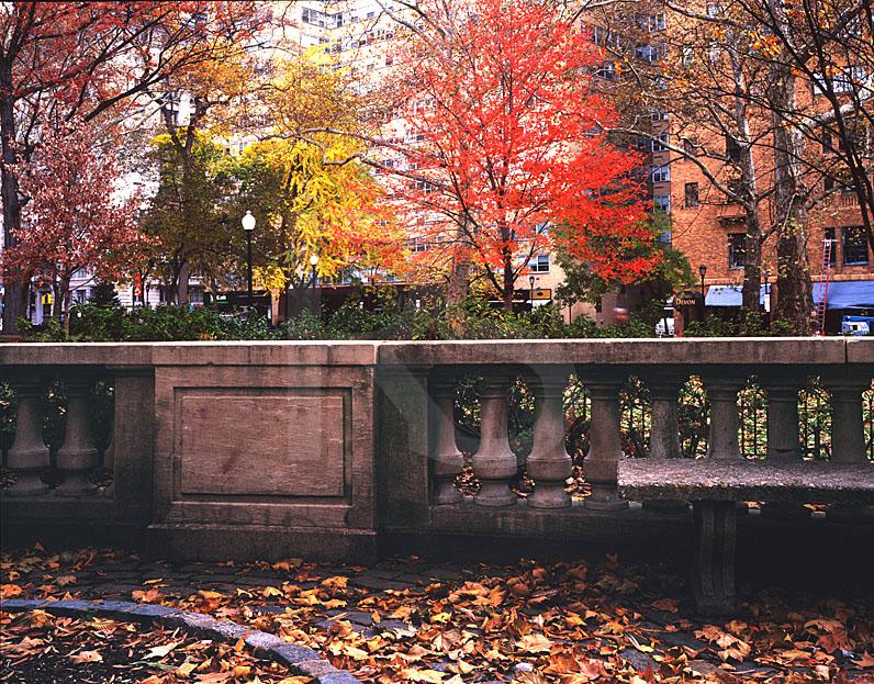 Rittenhouse Square Autumn 1