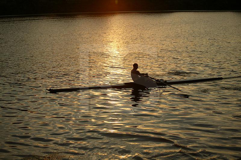Sculling  At Sunset 1
