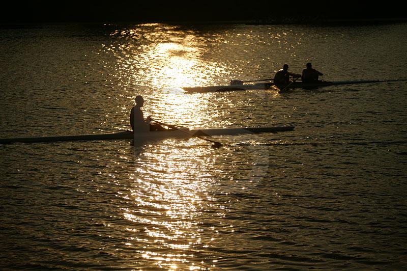 Sculling  At Sunset 2