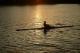 Sculling  At Sunset 1