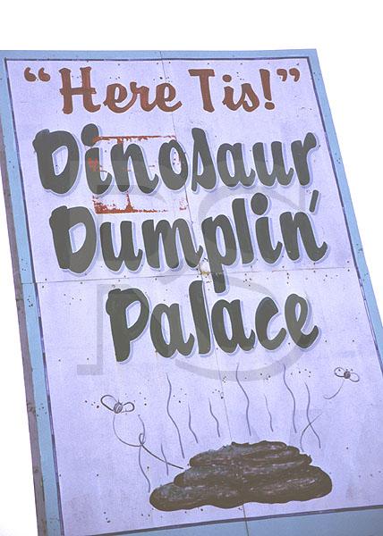 Dinosaur Dumplin' Palace