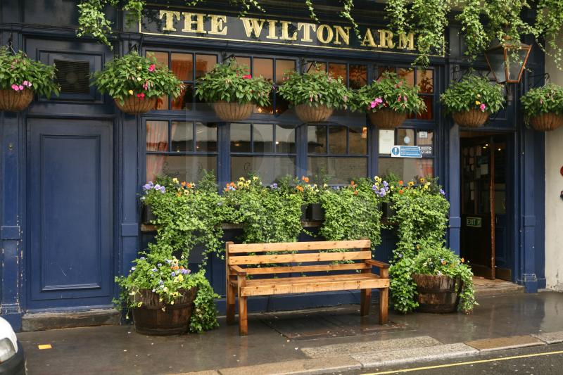 The Wilton Arms Pub