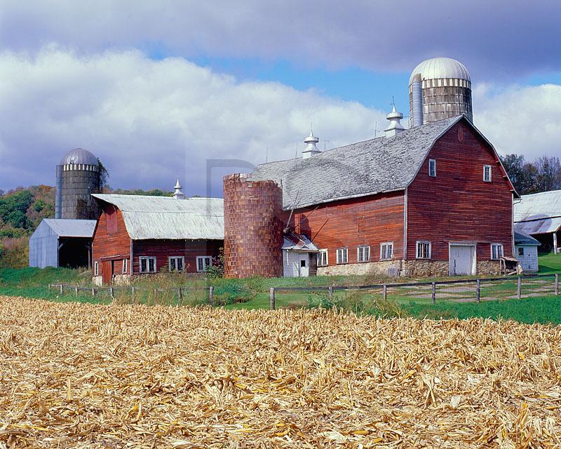 Red Barn and Cornfield
